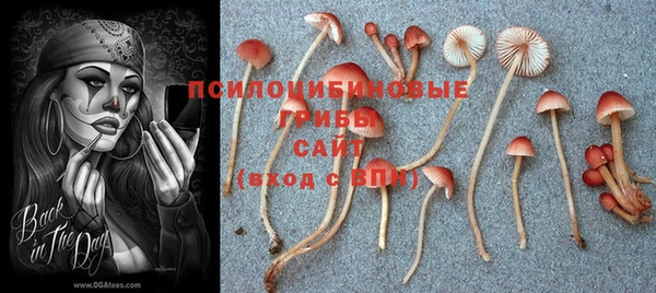 прущая мука Красноперекопск