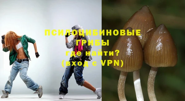 экстази Краснослободск