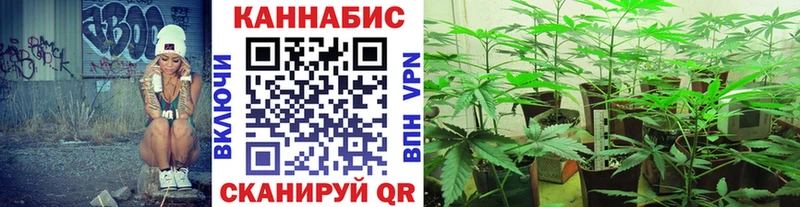 Каннабис семена купить наркотик Ленинградская
